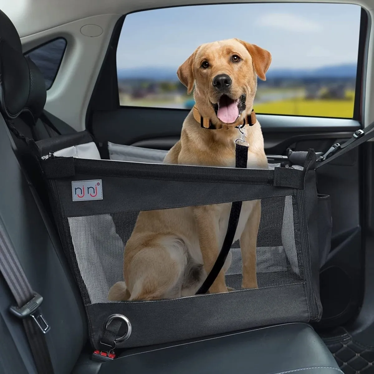 Car Booster Seat- Safety Folding Car Travel- Carrier pet seat