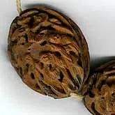 Vintage carved fruit pit Hedaio beads China. 38x25x15mm. Pkg of 1. b7-wo243