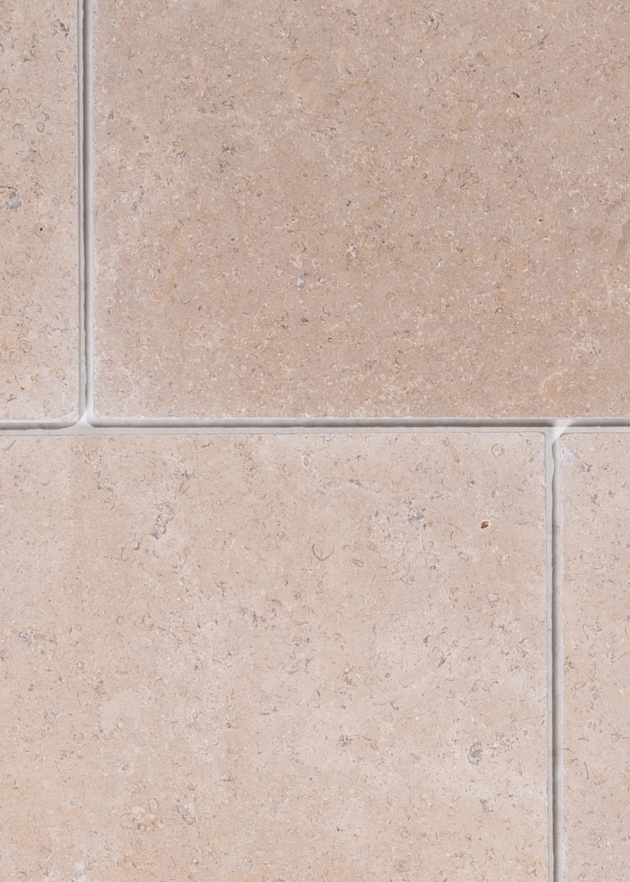 W&S Coquille Beige Limestone - Tumbled - Exterior
